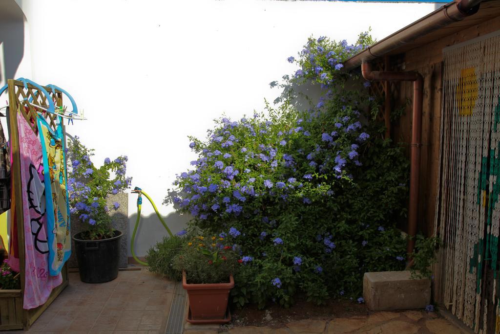 Bonjour Bed and Breakfast Morciano di Leuca Habitación foto